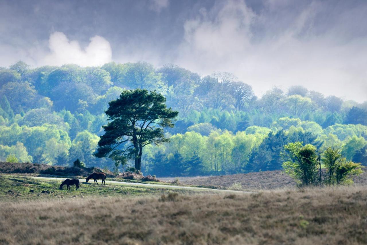 Careys Manor Hotel & Senspa Brockenhurst Εξωτερικό φωτογραφία